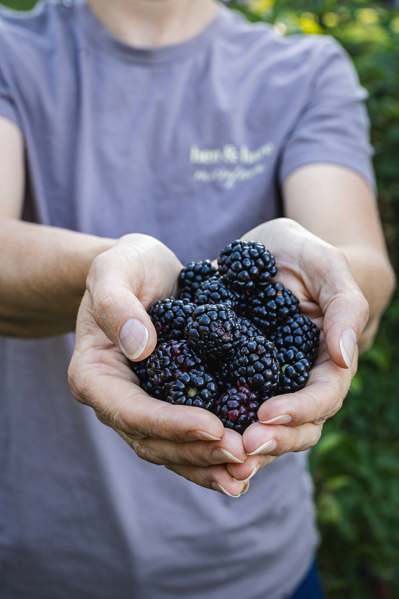 jams | Hen & Hare Microfarm with Apis